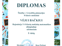 Matematikos olimpiada