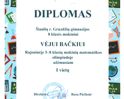 Matematikos olimpiada